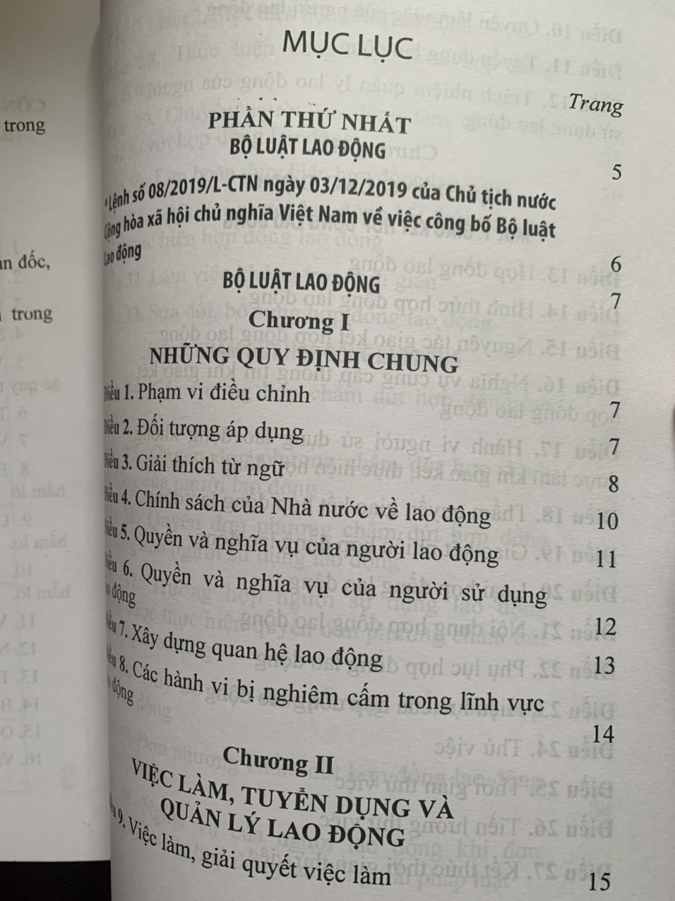 Bộ Luật Lao Động Và Văn Bản Hướng Dẫn Thi Hành