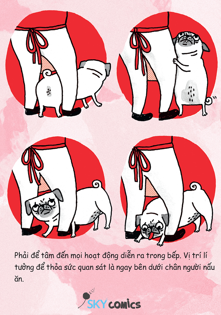 Combo Cẩm Nang Của Pug Mặt Phị ( 2 Cuốn )