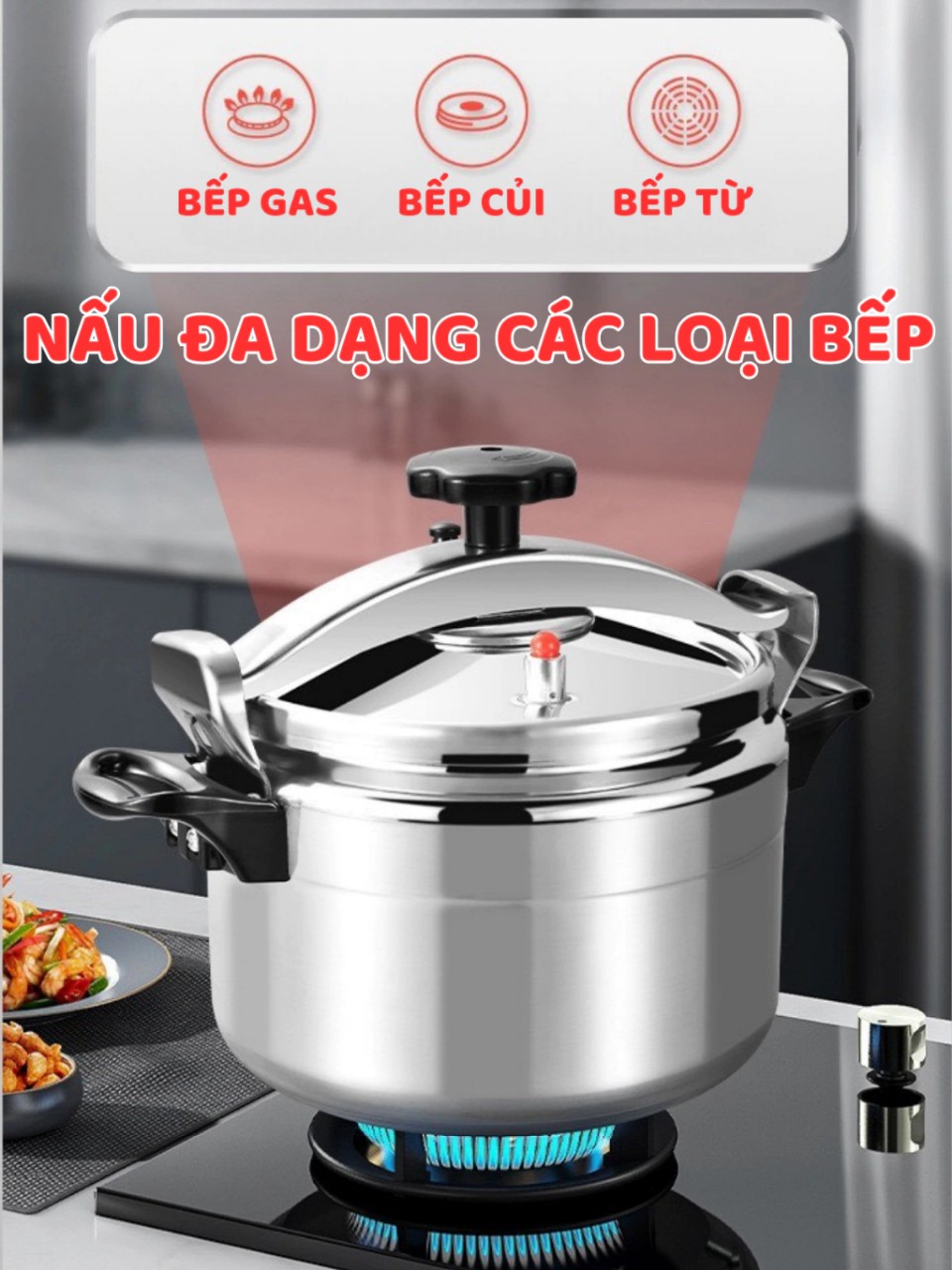 Nồi áp suất nấu bếp từ , bếp ga FUJIKA 4L-5L-7L