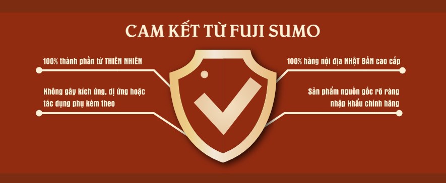 Thực Phẩm Chức Năng Viên uống tăng cường sinh lý nam Fuji Sumo nội địa Nhật 6