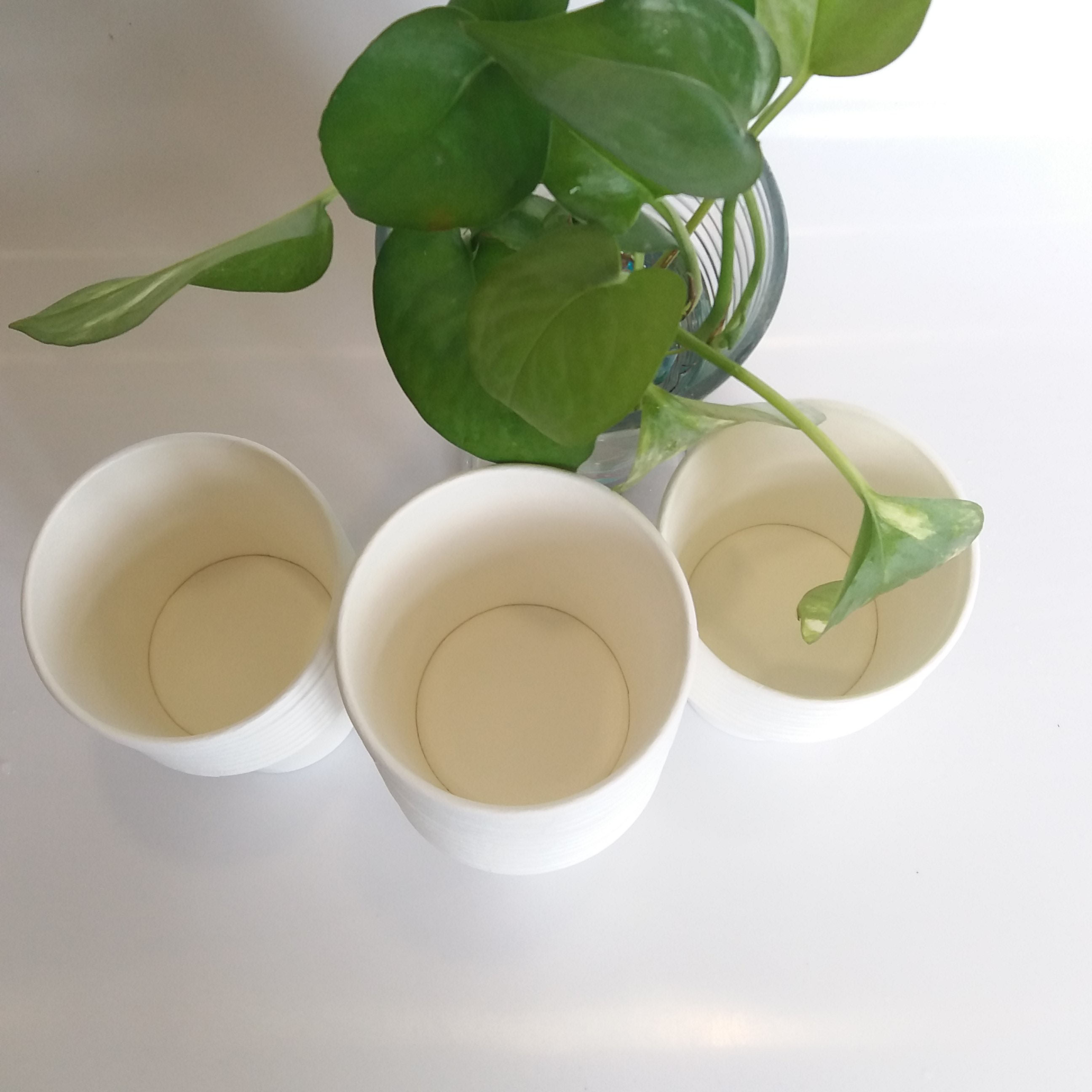 [KV] Ly giấy 10oz~295ml - Lốc 50 ly giấy trơn