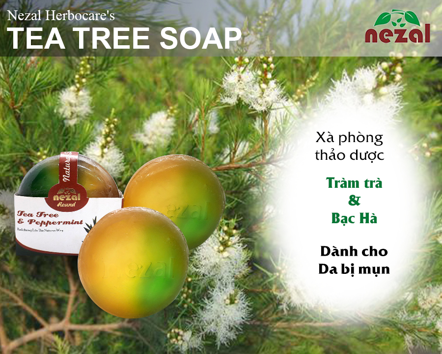 Xà phòng tinh dầu tràm trà và bạc hà hỗ trọ trị mụn