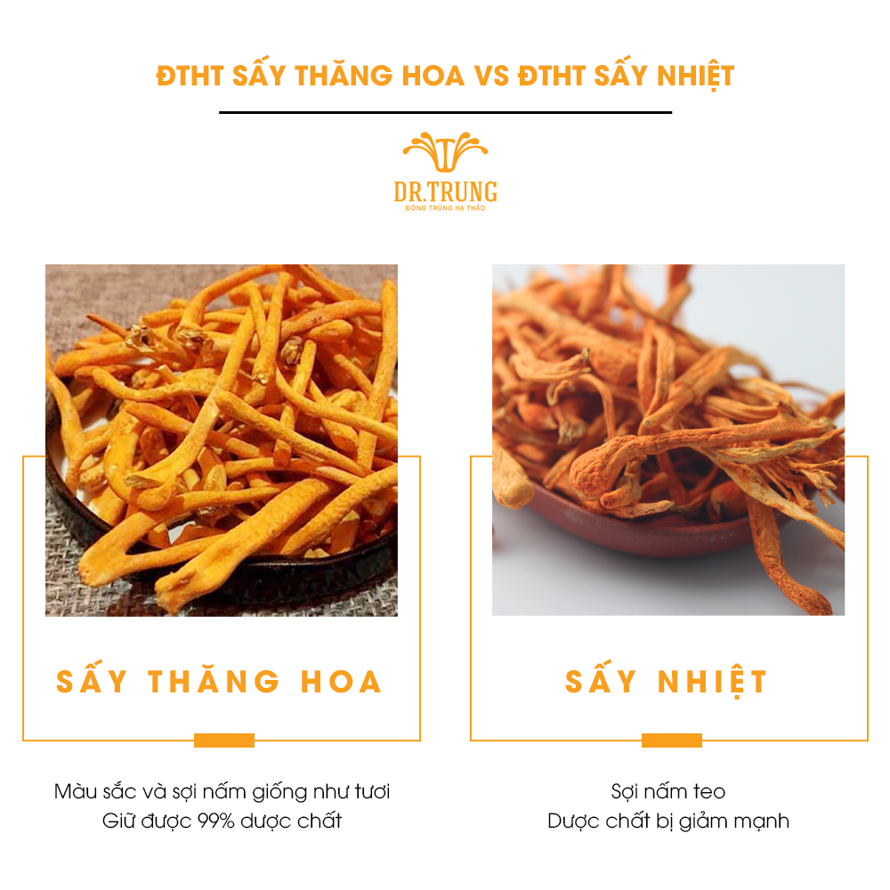 Đông trùng hạ thảo Dr. Trung Sấy thăng hoa hũ 12 gram - loại TIÊU CHUẨN - Công thức cải tiến bổ sung tảo Spirulina và Protein thực vật tạo dược chất cao, màu cam đậm, Giúp cải thiện giấc ngủ, Ổn định huyết áp 3