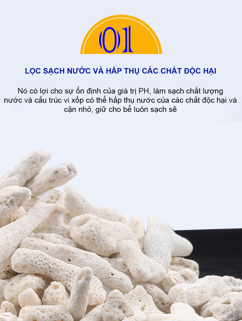 1Kg Vật liệu lọc hồ cá: bông 8D, men vi sinh hồ cá PSB 100ML cao cấp
