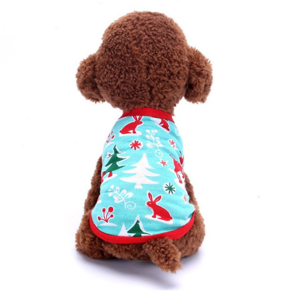 áo dễ thương cho chó mèo