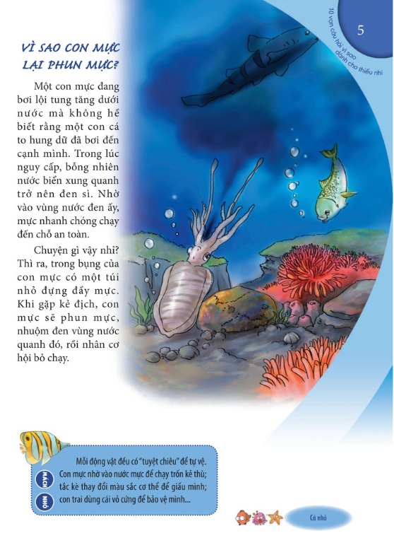 Combo 10 Vạn Câu Hỏi Vì Sao: Môi Trường Tự Nhiên (6 Cuốn)