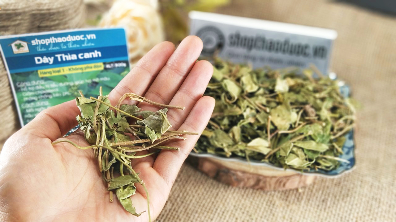 Dây Thìa Canh Sạch Sấy Khô Gói 500Gr - Trà Dây Thìa Canh Shop Thảo Dược Hỗ Trợ Ổn Định Đường Huyết, Tốt Cho Người Cao Huyết Áp