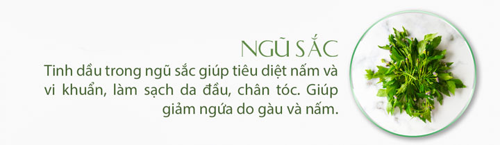 2 Hộp Túi Lọc Gội Đầu Bồ Kết Việt (Dòng Cao Cấp) 6