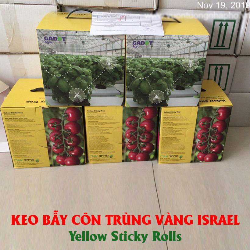 keo bẫy côn trùng nông nghiệp israel