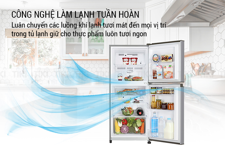 Tủ Lạnh Toshiba GR-A21VPP-S1 (171L) - Hàng chính hãng