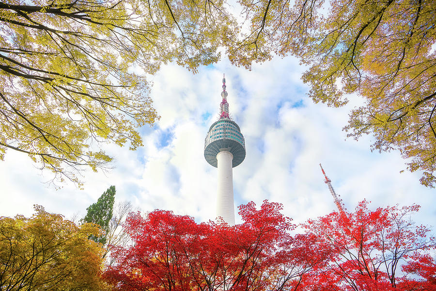 [HCM] Tour Hàn Quốc 4N4Đ: Seoul - Nami - Everland, Khởi Hành Hàng Tuần Tháng 01, 02, 03