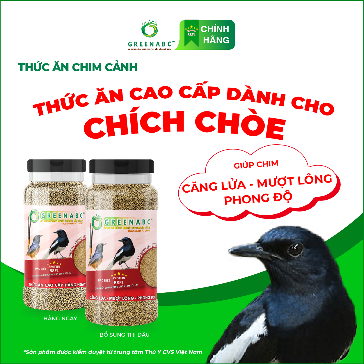 Cám Chim Chích Chòe GREENABC – Giúp chim căng lửa, phong độ, 2 loại bổ sung và hàng ngày – Hộp 280g