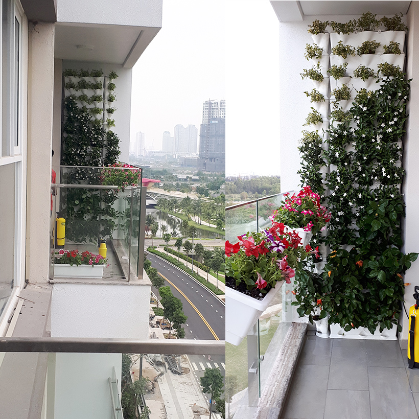 Cây Ban Công Đứng Minigarden 1