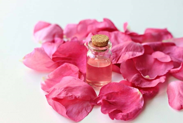 tinh dầu hoa hồng - rose