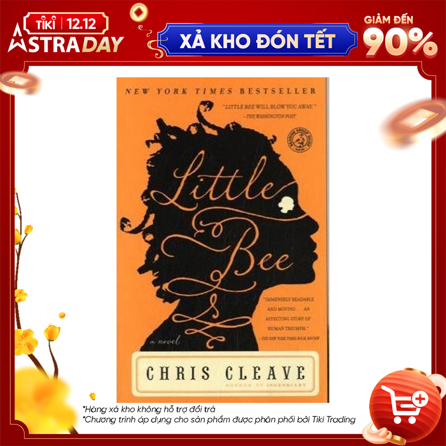 Little Bee A Novel