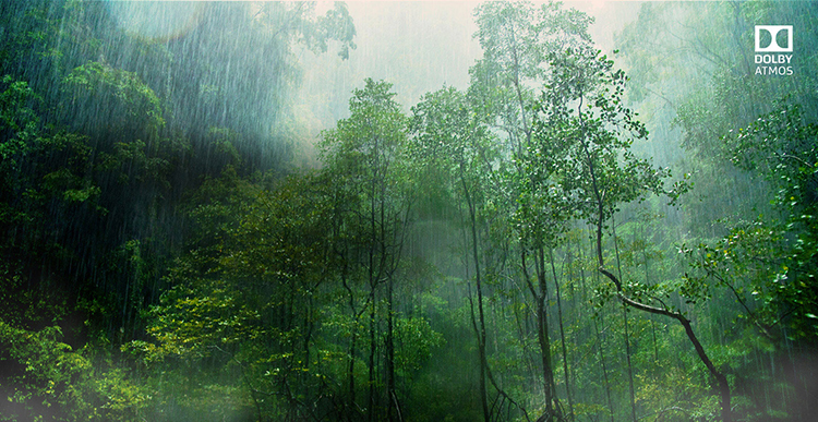 Smart Tivi LG 65 inch 4K 65NANO81TNA - Hàng Chính Hãng