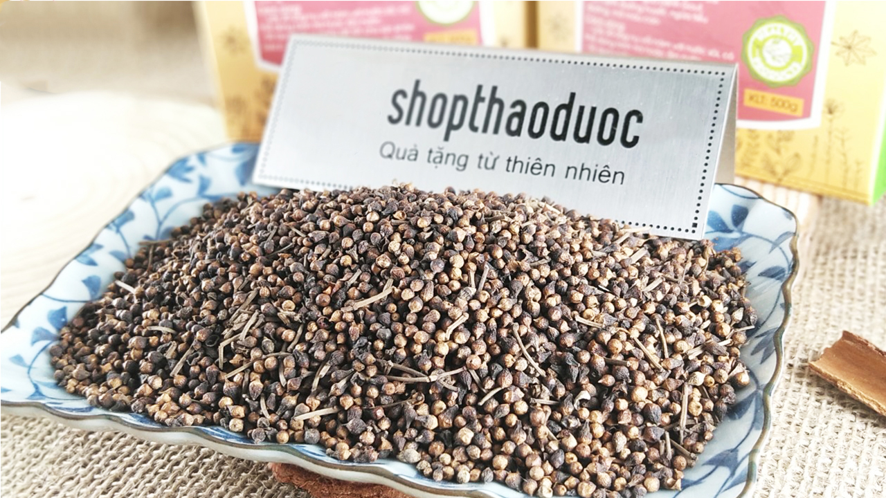 Combo 1Kg Nụ Vối Khô Shop Thảo Dược - Hỗ Trợ Đẩy Lùi Gout Tích Cực - Tặng 1 Chai Tinh Dầu Sả Chanh 8ml