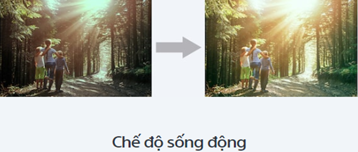 Tăng cường chế độ sống động.