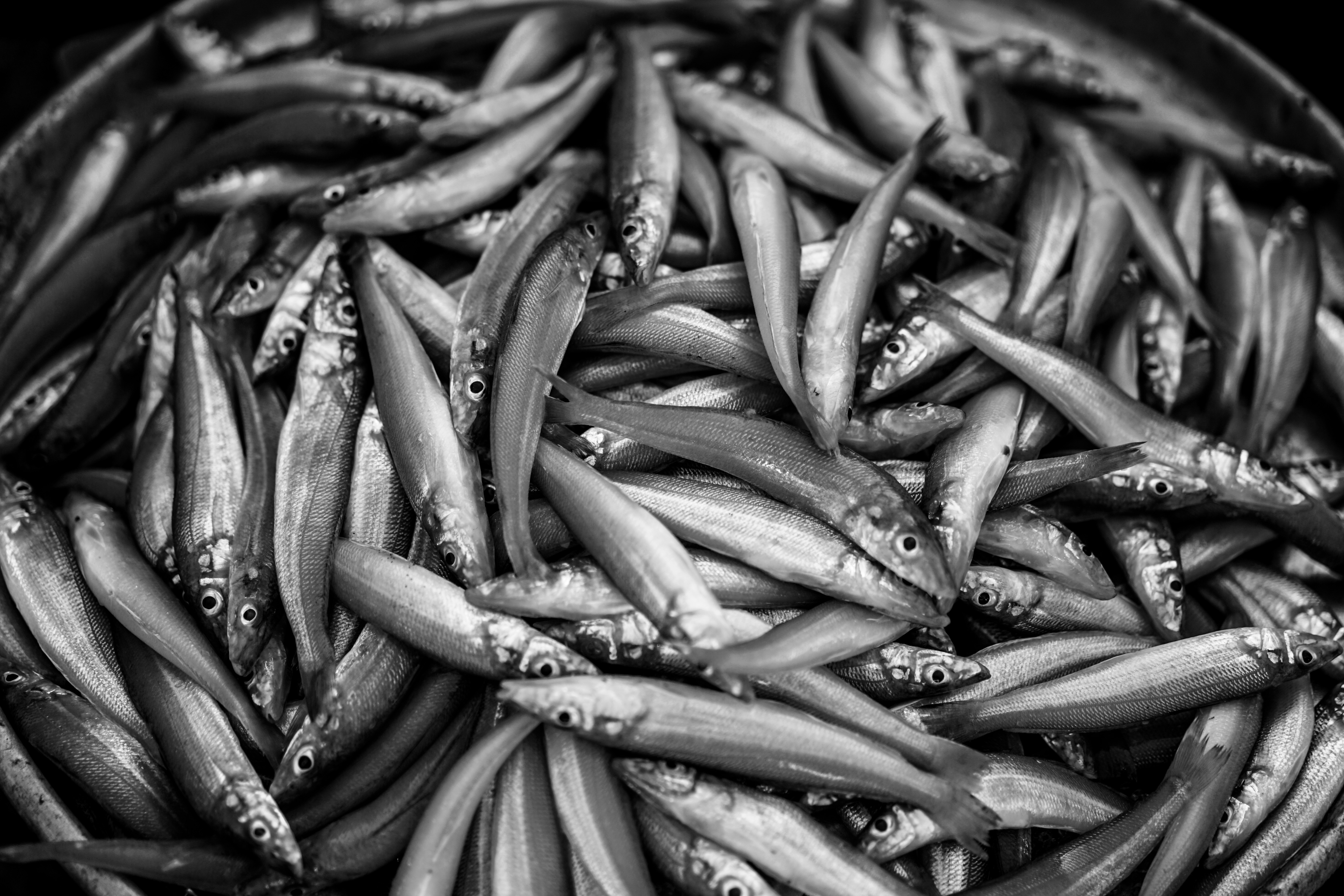 Nước Mắm Nhĩ Thuyền Xưa 40 độ đạm (500ml)