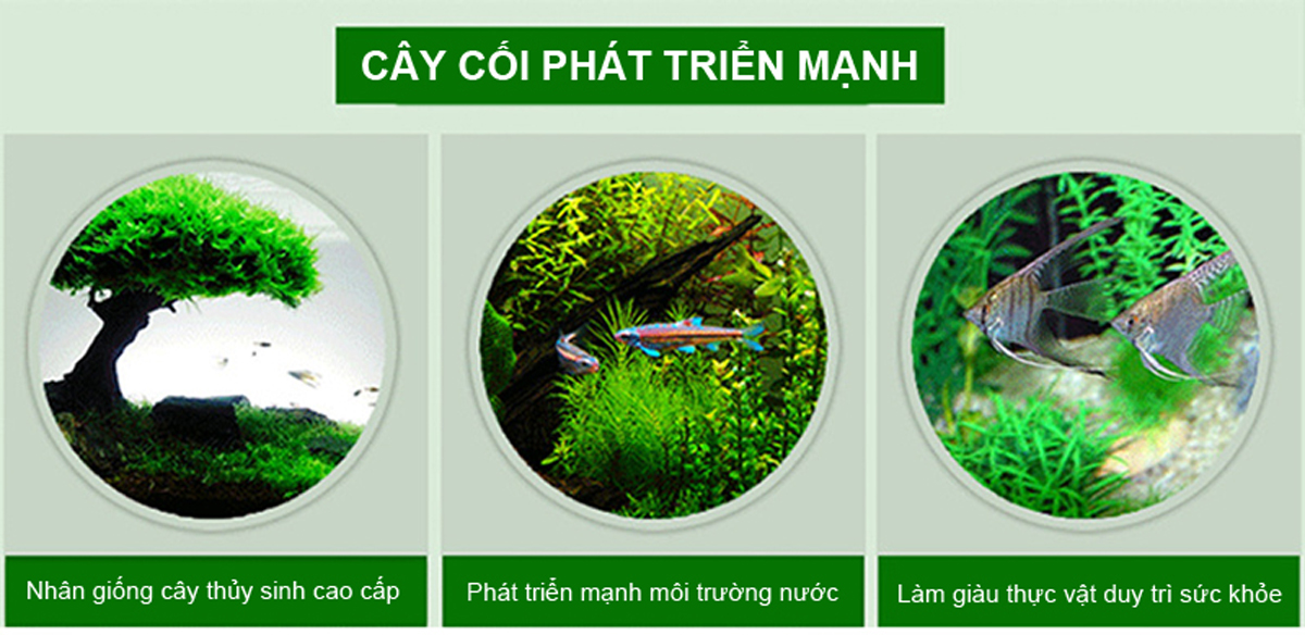 Combo 3 chai Phân Nước KenAqua cho hồ thủy sinh 250ml/chai