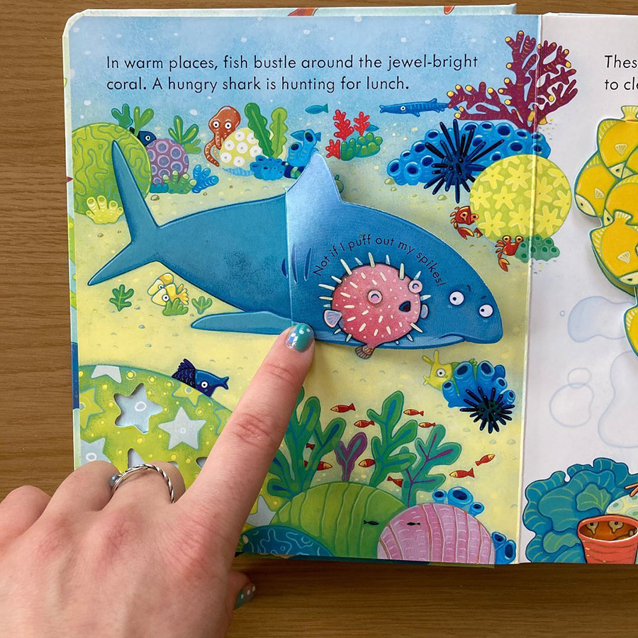 Usborne The Sea