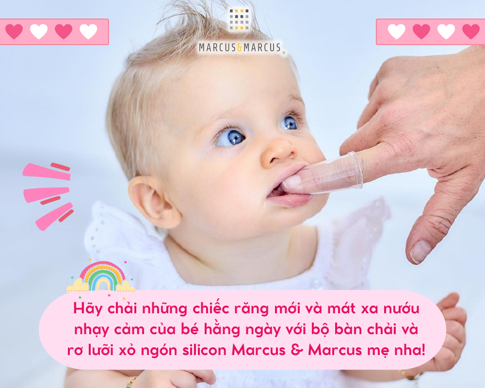 Bộ bàn chải và rơ lưỡi xỏ ngón silicon cho bé Marcus & Marcus, từ sơ sinh